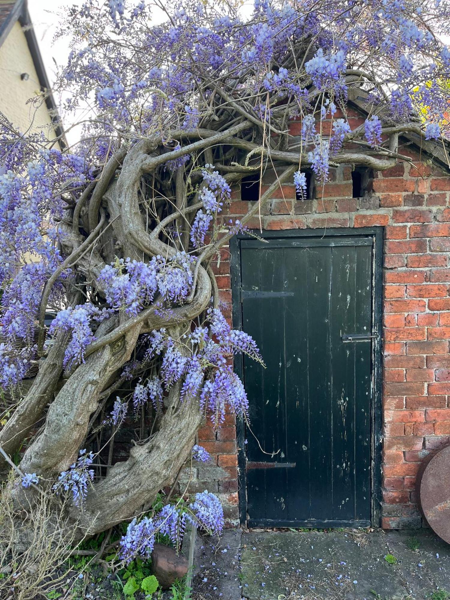 Bed and Breakfast Spenford House 1640 Listed House Idilic Location Pub Walking Distance Loppington Esterno foto